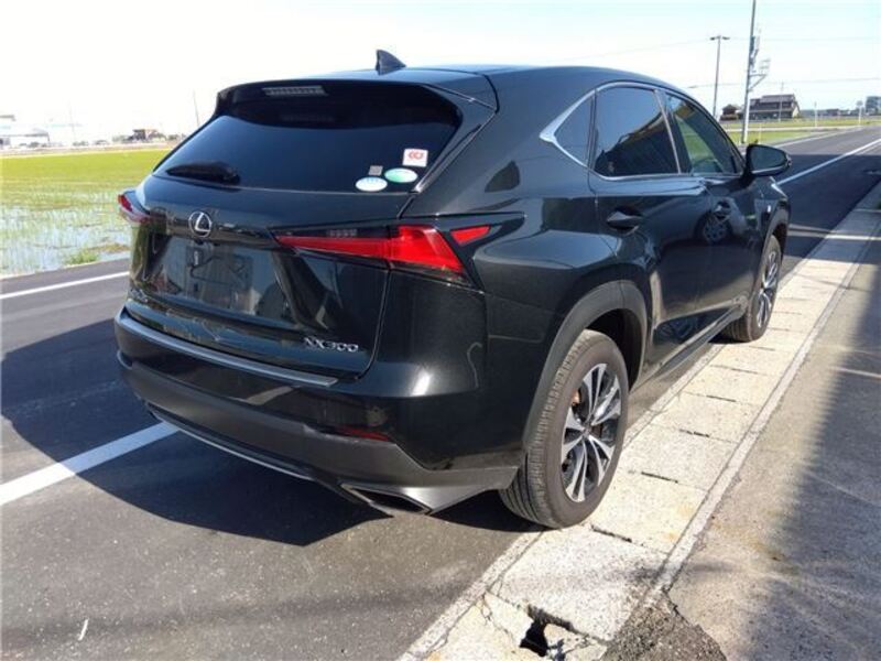 NX