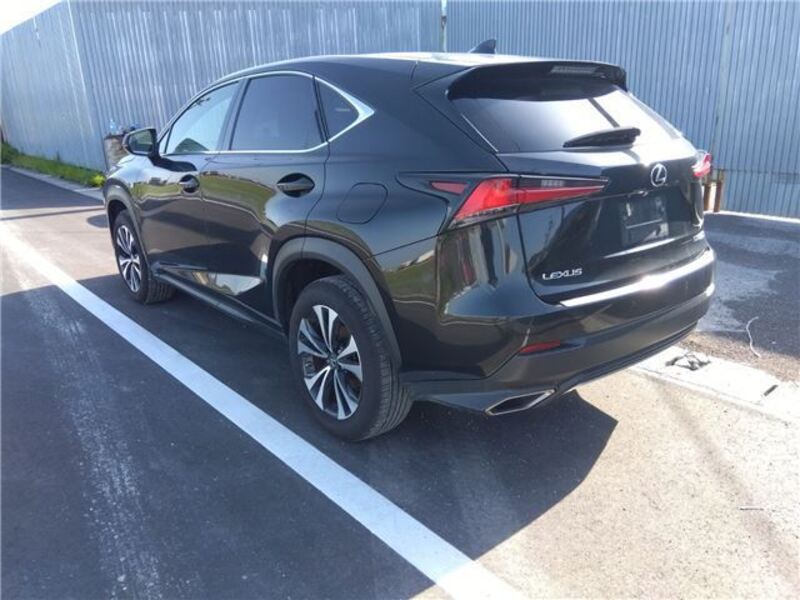 NX