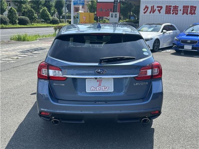 LEVORG