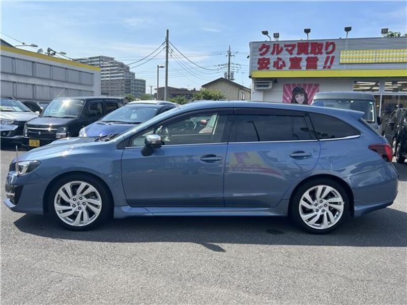 LEVORG