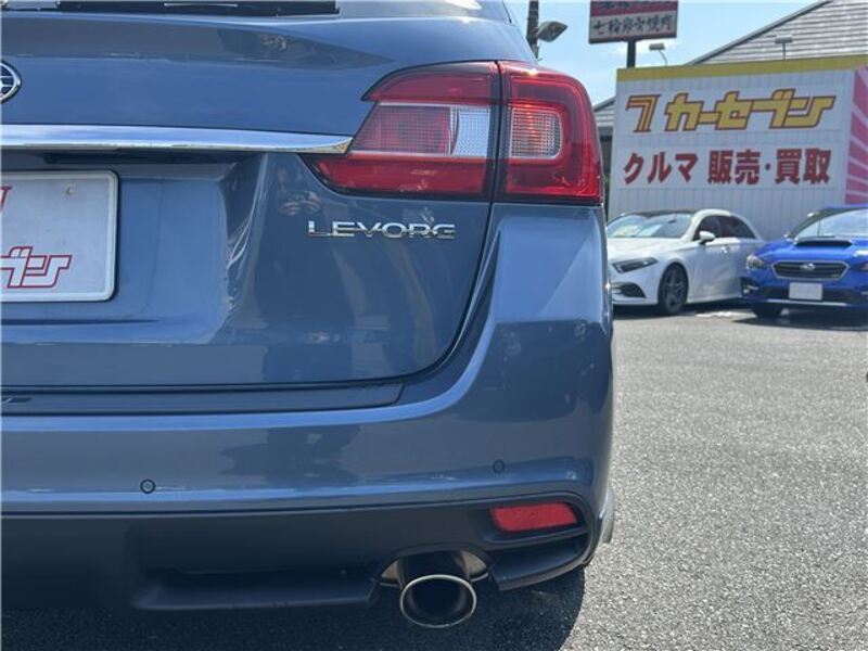 LEVORG