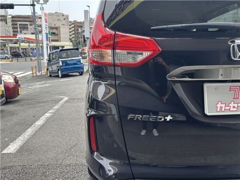 FREED+