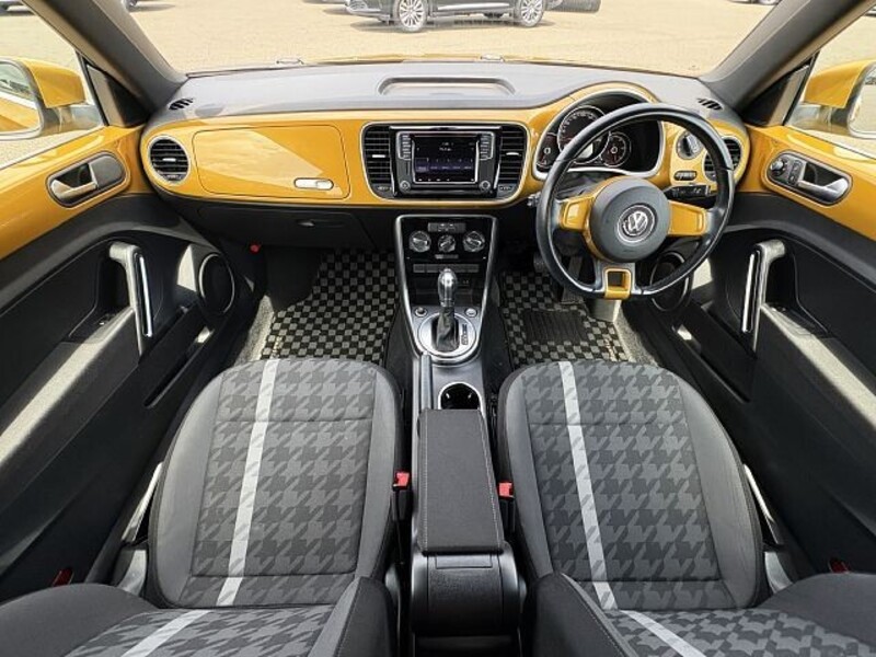 THE BEETLE