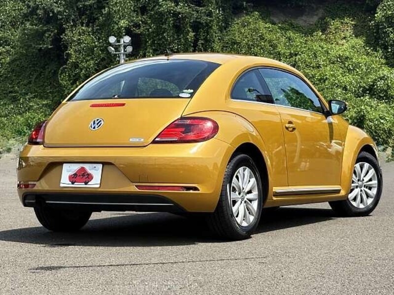 THE BEETLE