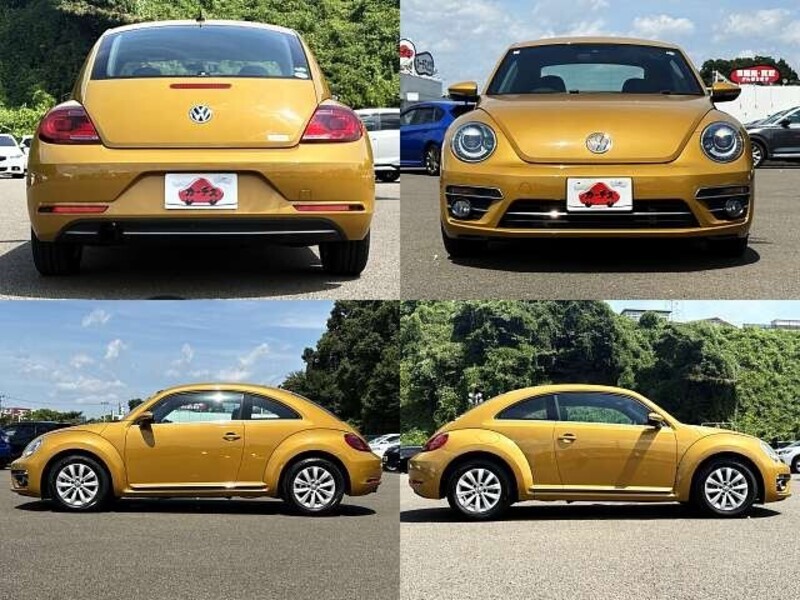 THE BEETLE