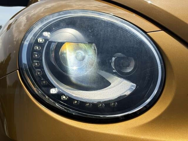 THE BEETLE