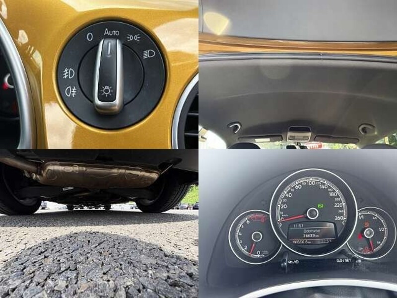 THE BEETLE