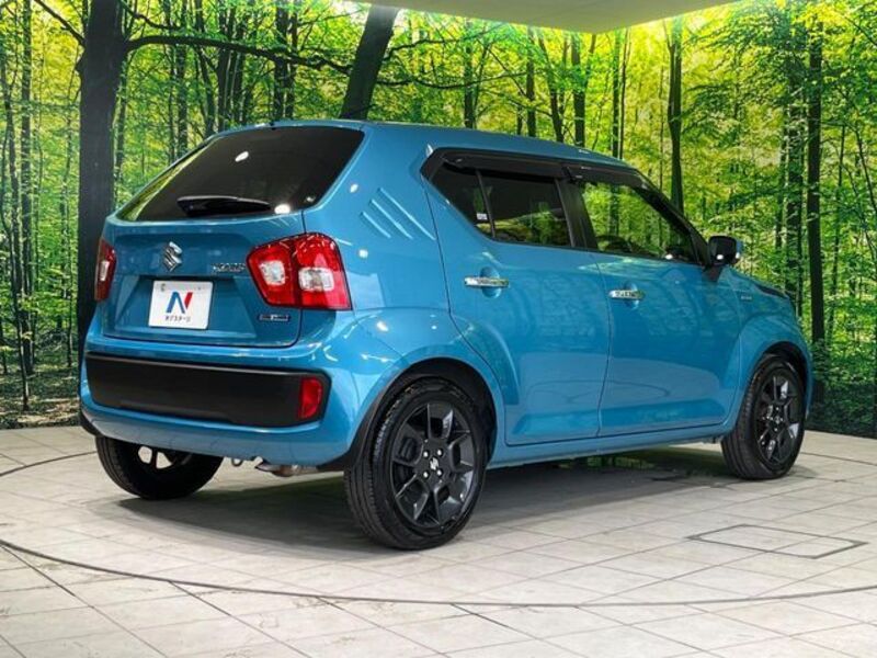 IGNIS