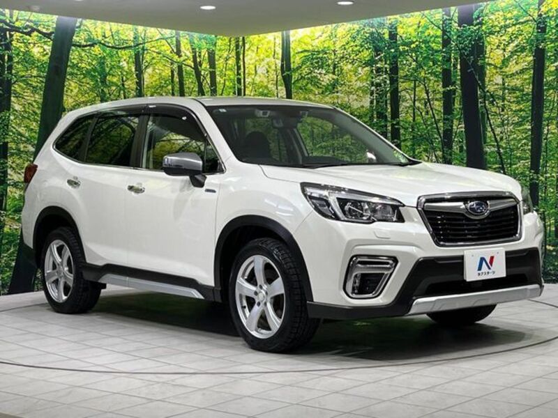 FORESTER