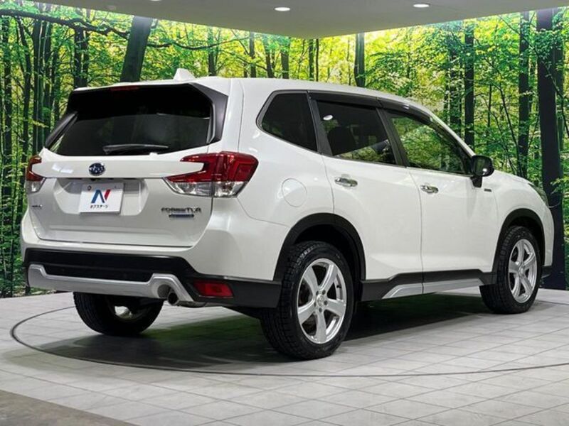 FORESTER