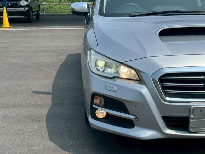 LEVORG