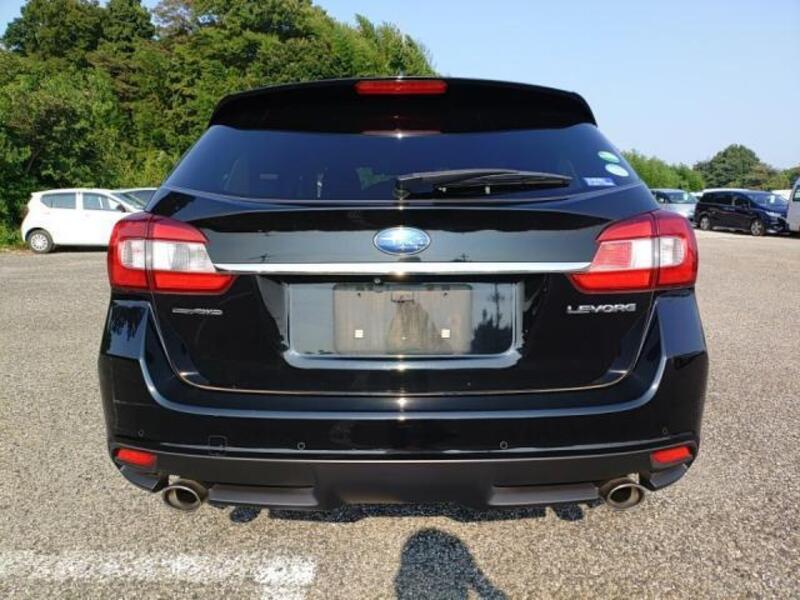 LEVORG