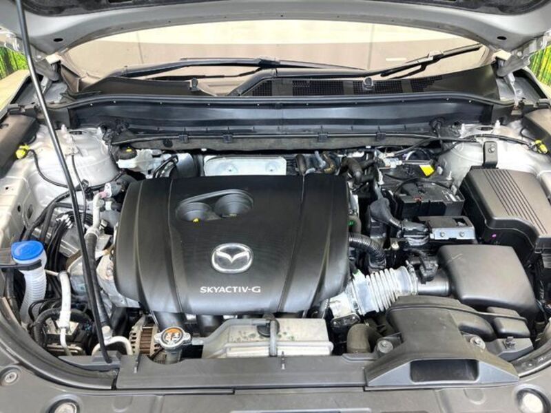 CX-8
