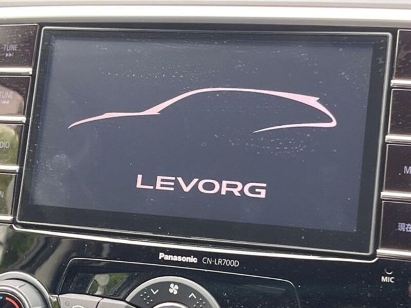 LEVORG