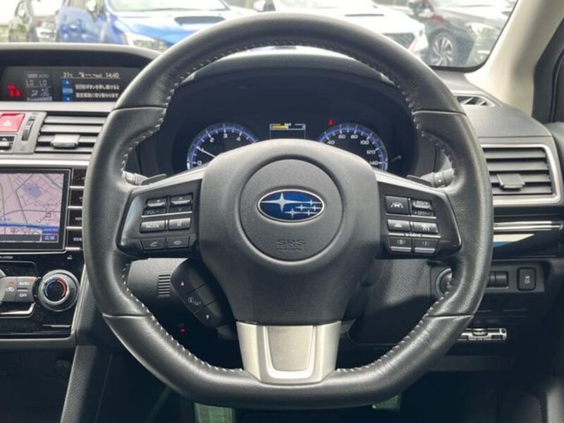 LEVORG