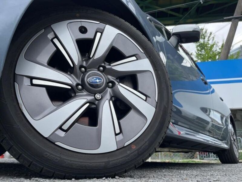 LEVORG