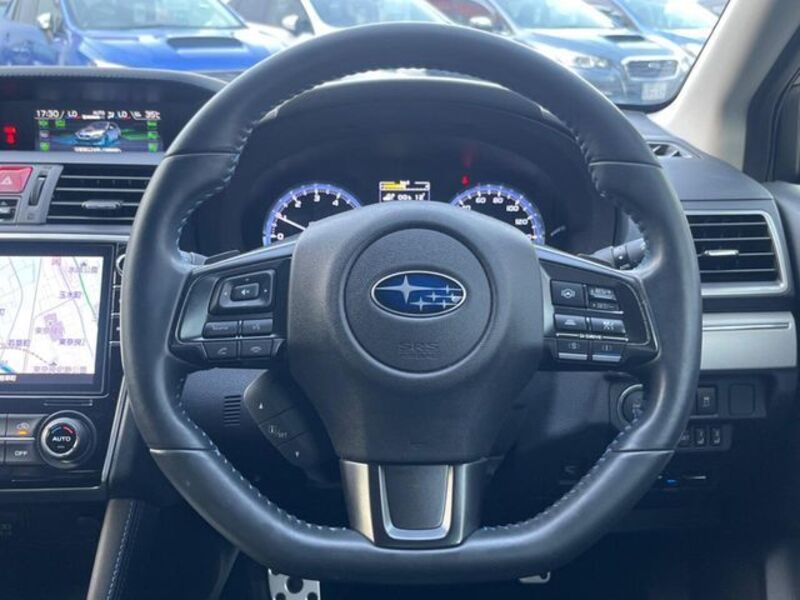 LEVORG