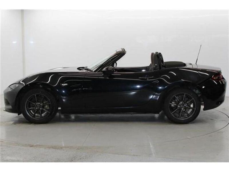 ROADSTER