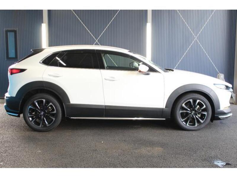 CX-30