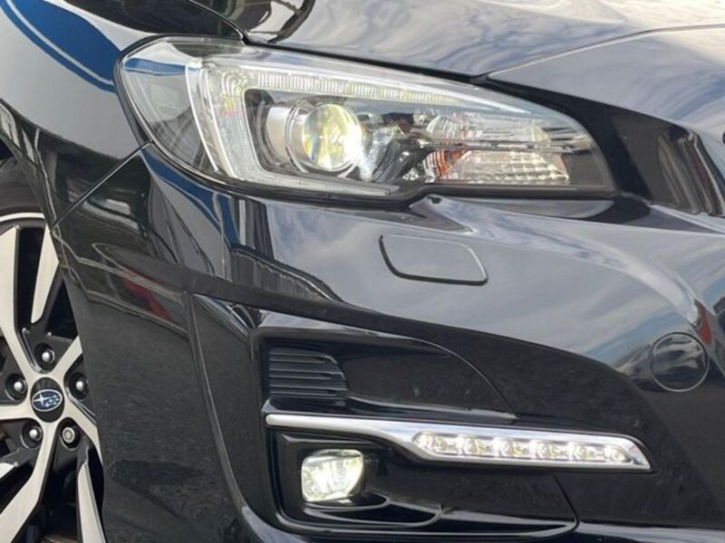 LEVORG