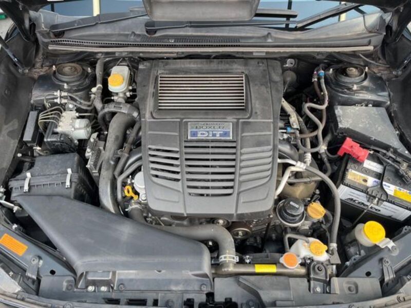 LEVORG