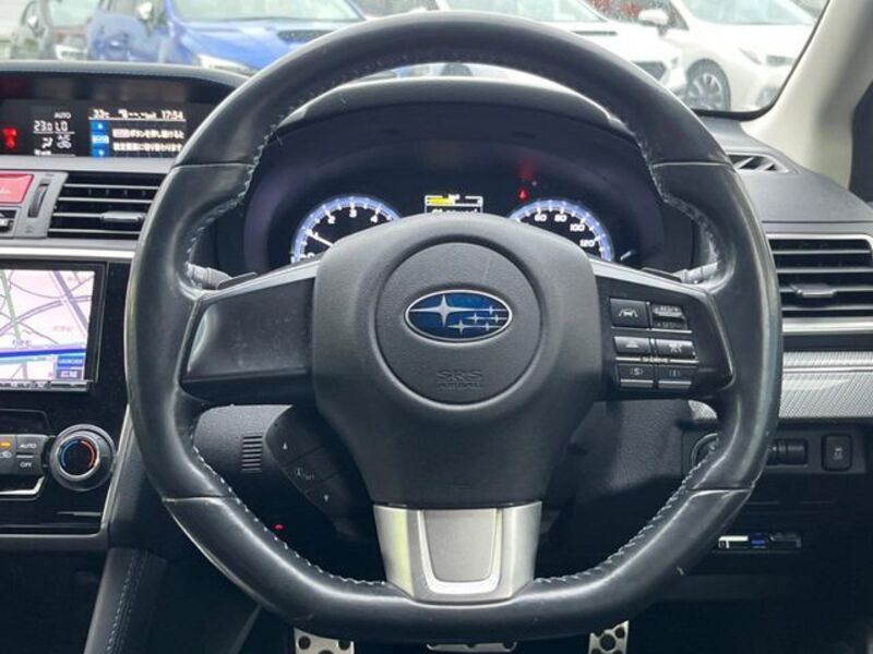 LEVORG