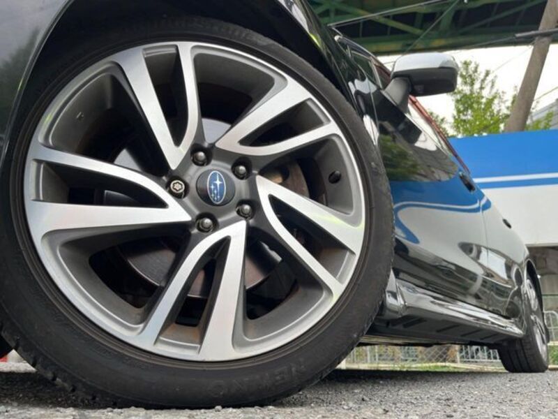 LEVORG