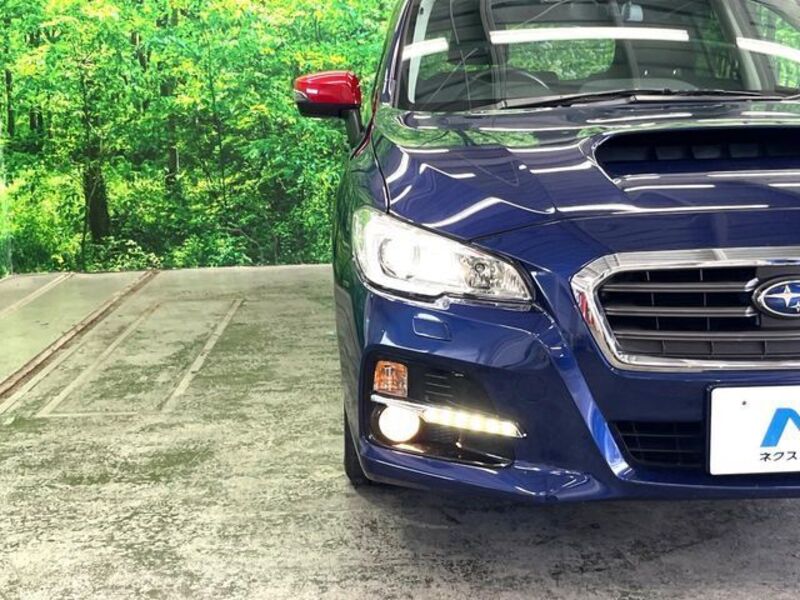 LEVORG