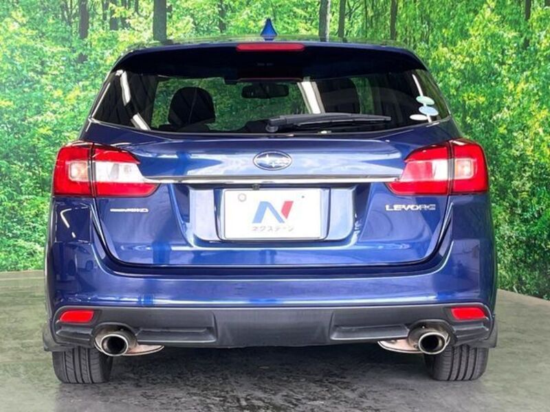LEVORG