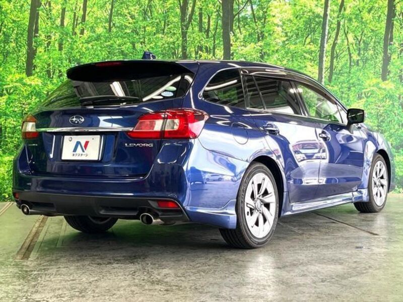 LEVORG