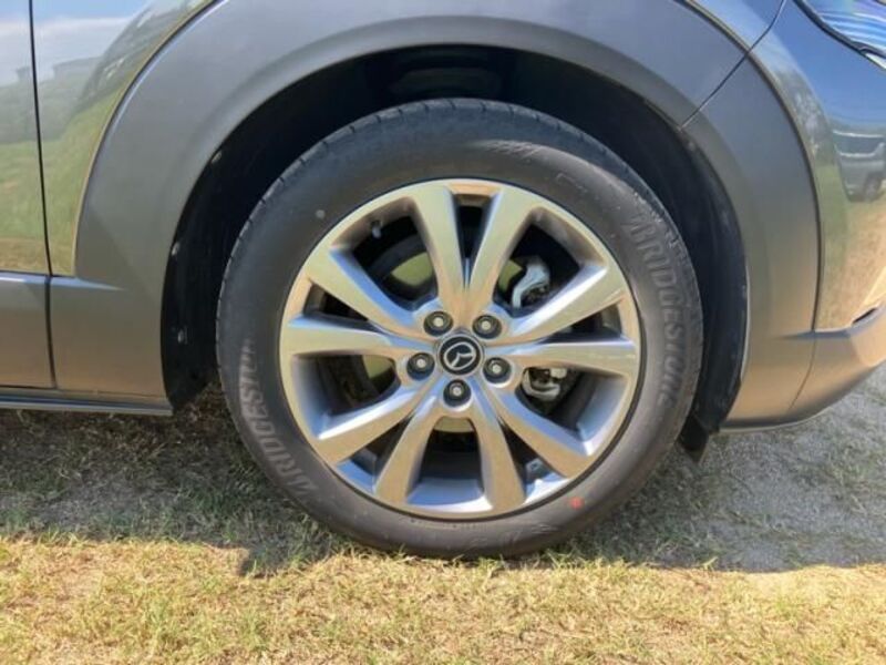 CX-30