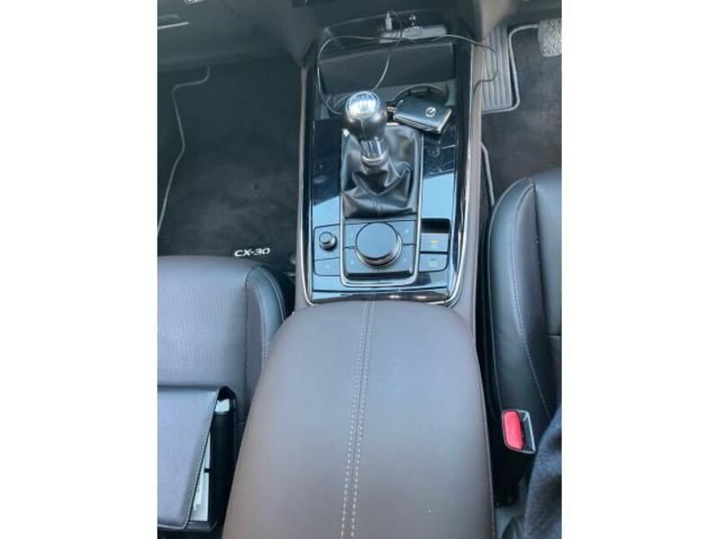 CX-30