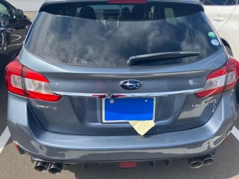 LEVORG