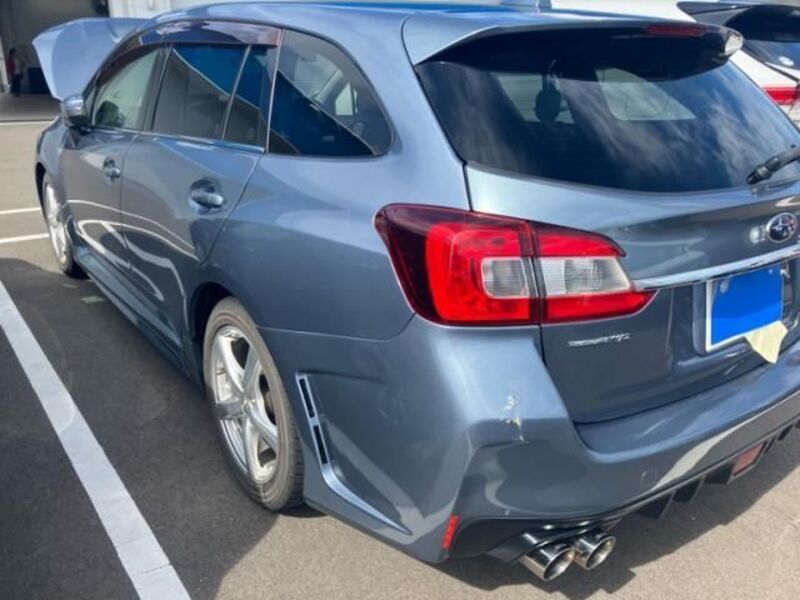 LEVORG