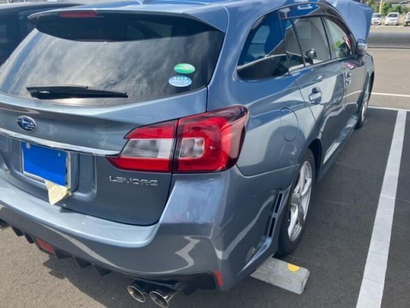LEVORG