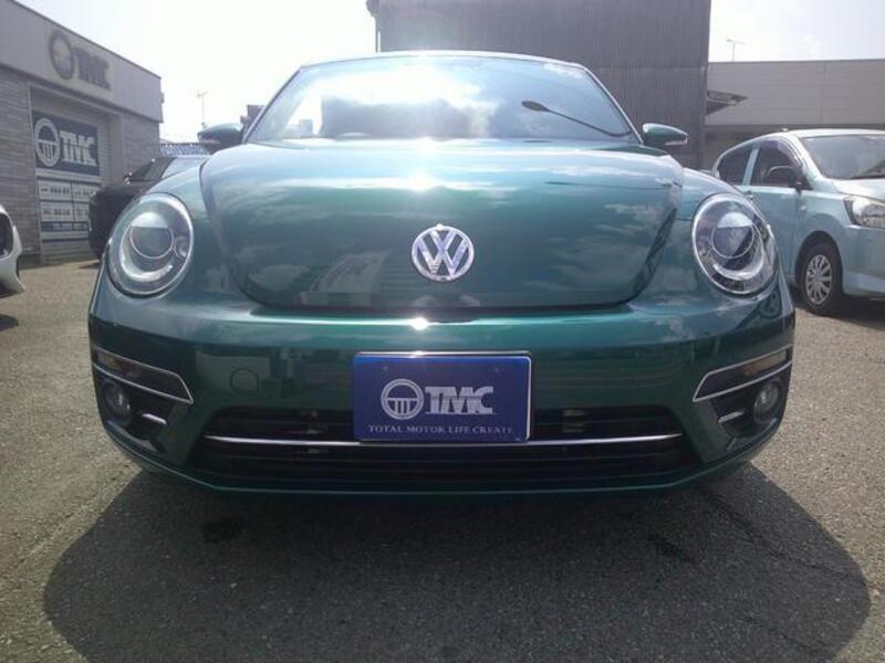 THE BEETLE