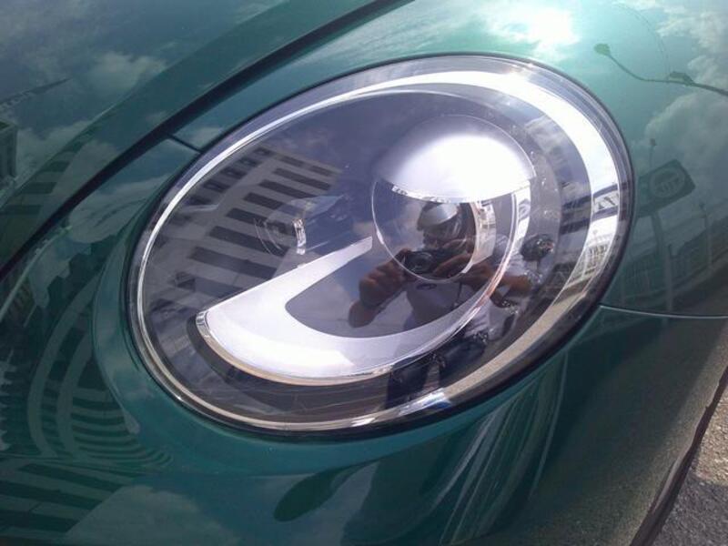 THE BEETLE