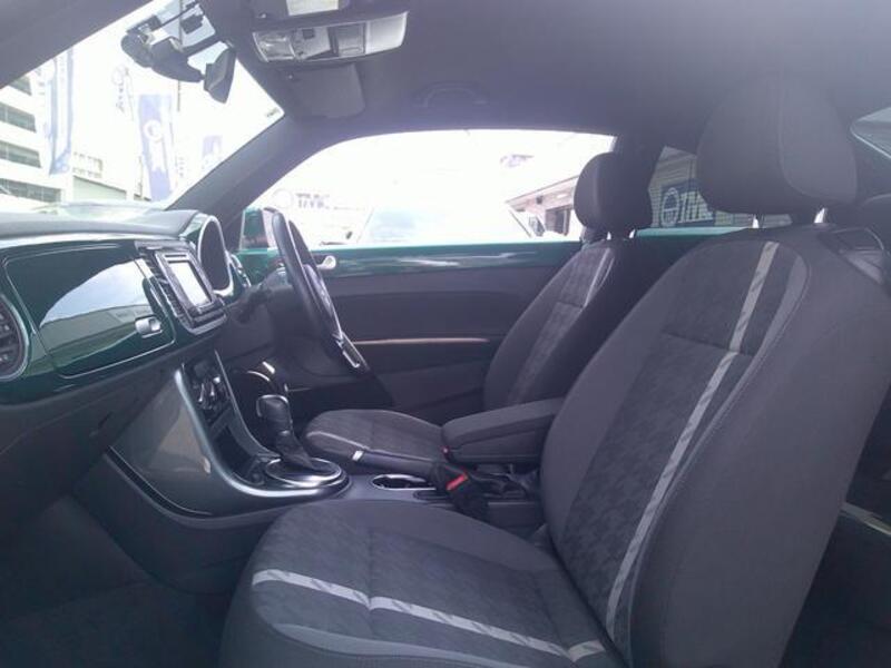 THE BEETLE