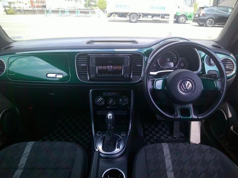 THE BEETLE