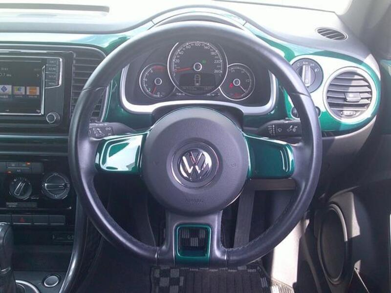 THE BEETLE