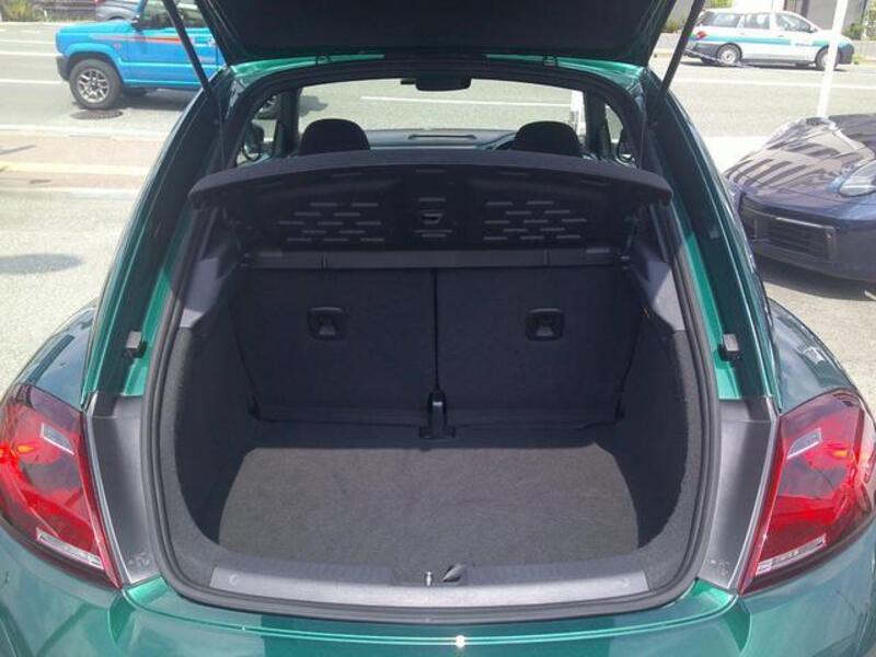 THE BEETLE