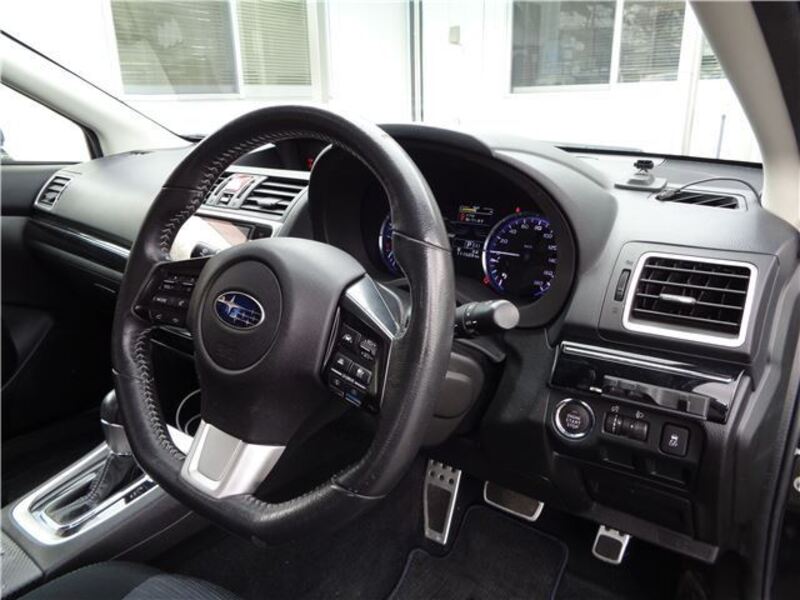 LEVORG