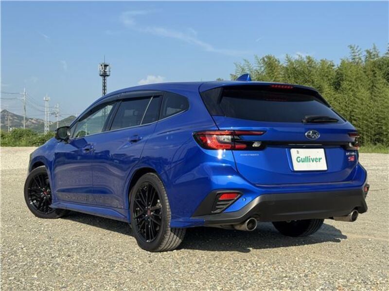 LEVORG