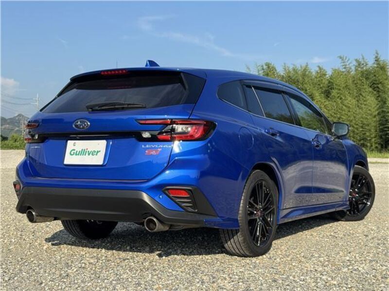 LEVORG