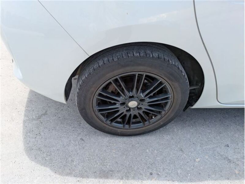AURIS