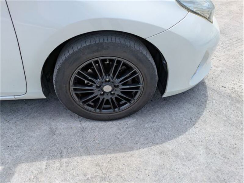 AURIS