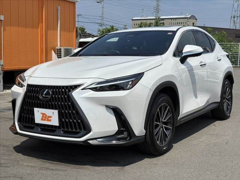 NX