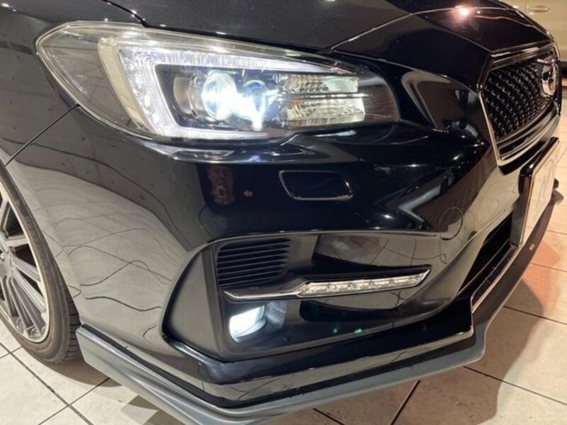 LEVORG