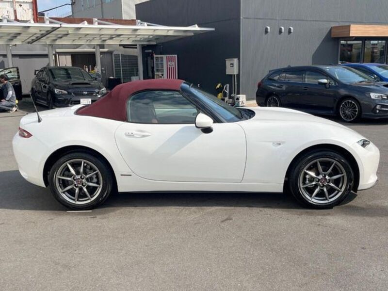 ROADSTER