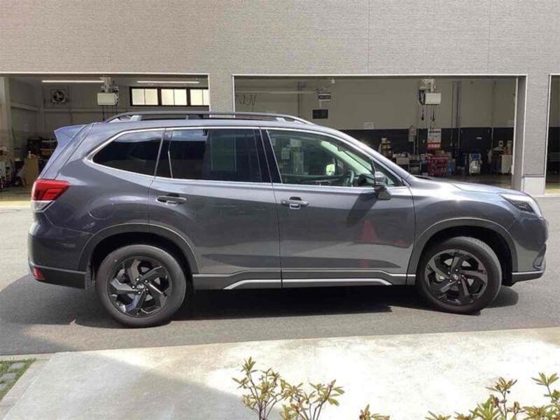 FORESTER